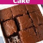 Chocolate Depression Cake - Wacky Cake