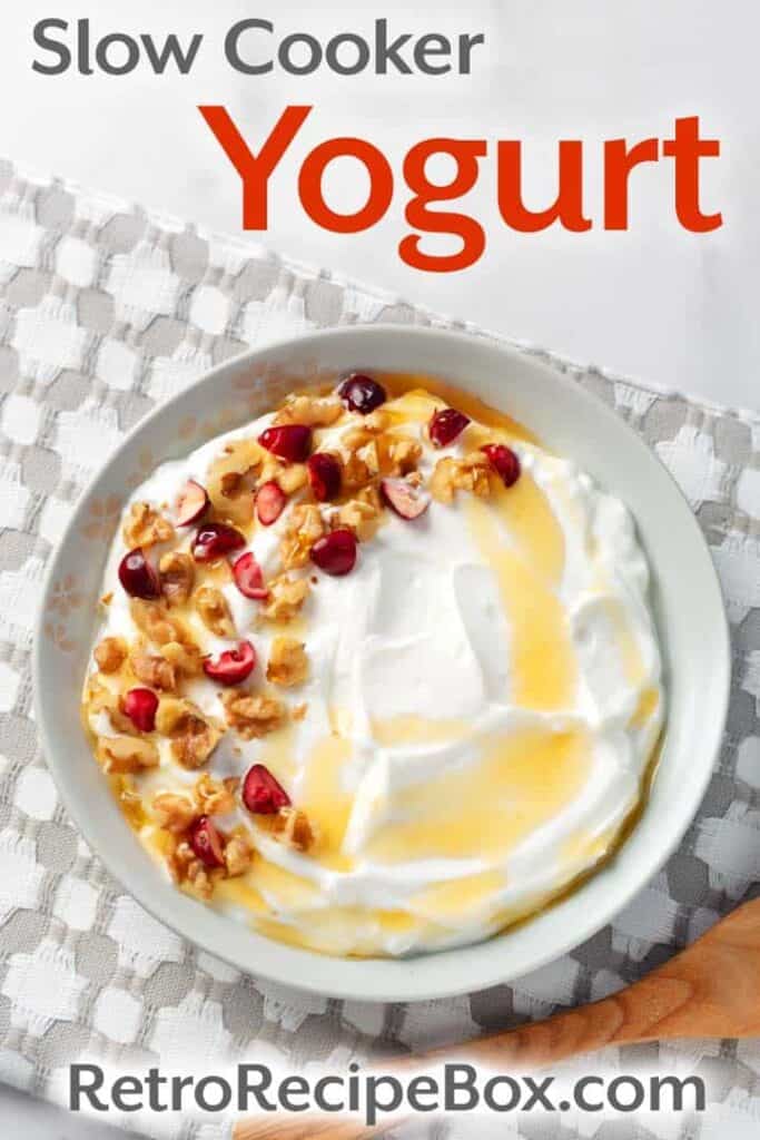 Slow Cooker Yogurt Retro Recipe Box