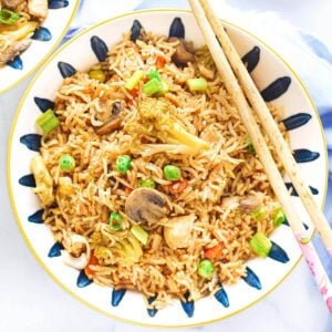 Instant Pot Fried Rice with Chicken in white bowl from above