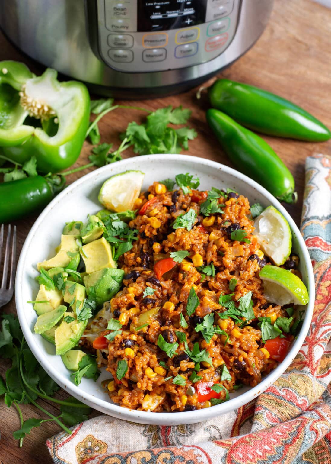 Instant Pot Enchilada Rice Retro Recipe Box