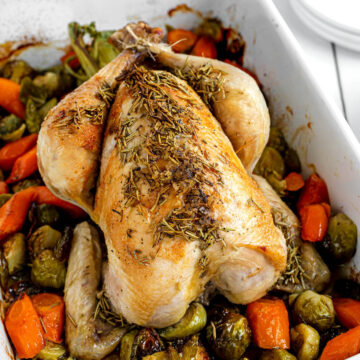 roasted chicken in white pan with vegetables