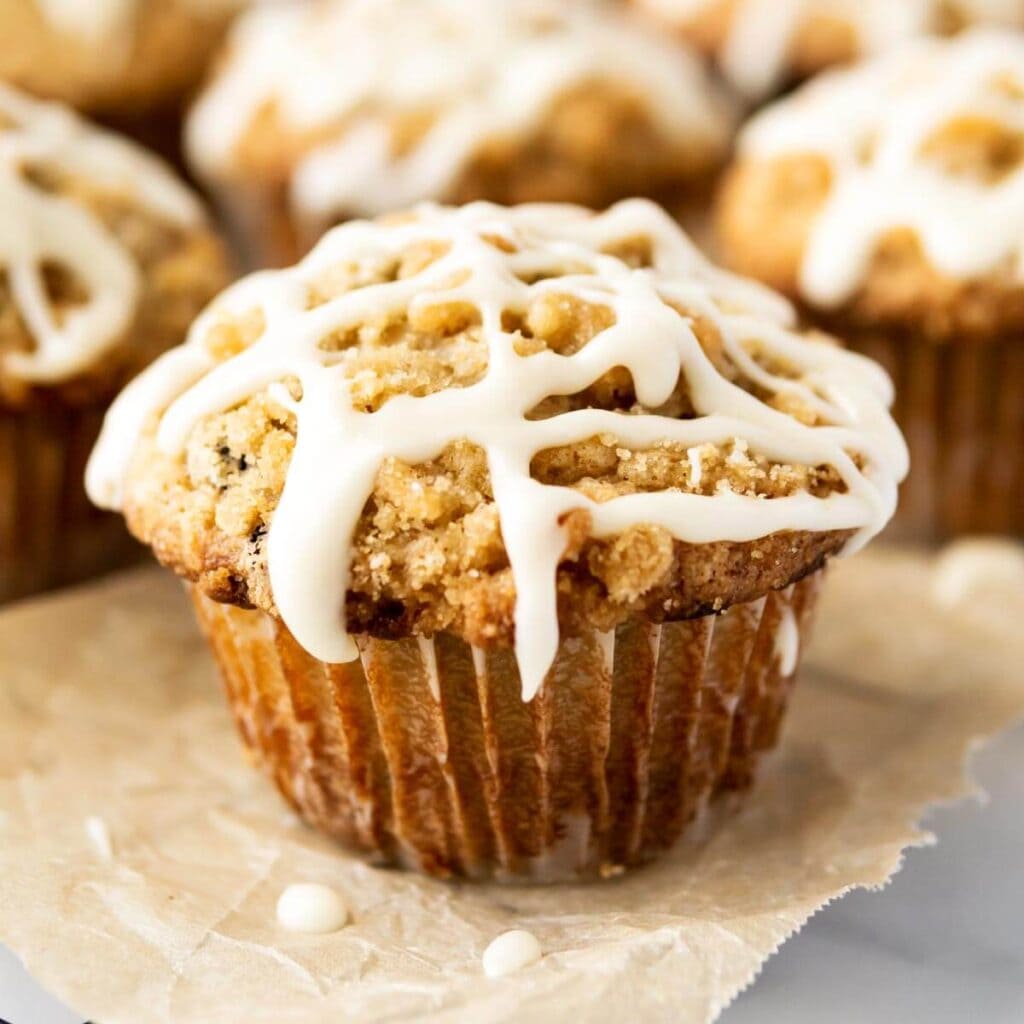 Oatmeal Chocolate Chip Muffins with Streusel Topping Retro Recipe Box