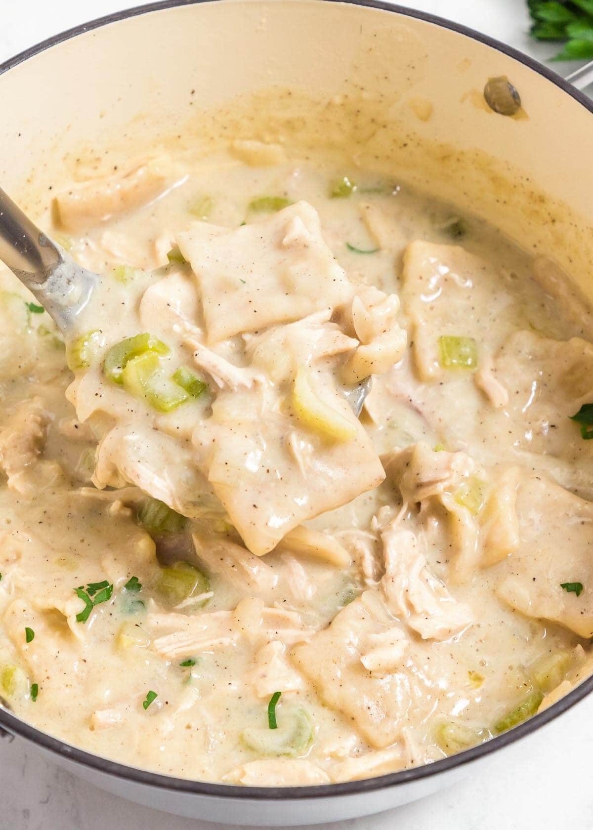 Chicken and Dumplings in a pot with a spoon