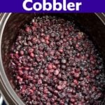 Slow Cooker Blueberry Cobbler