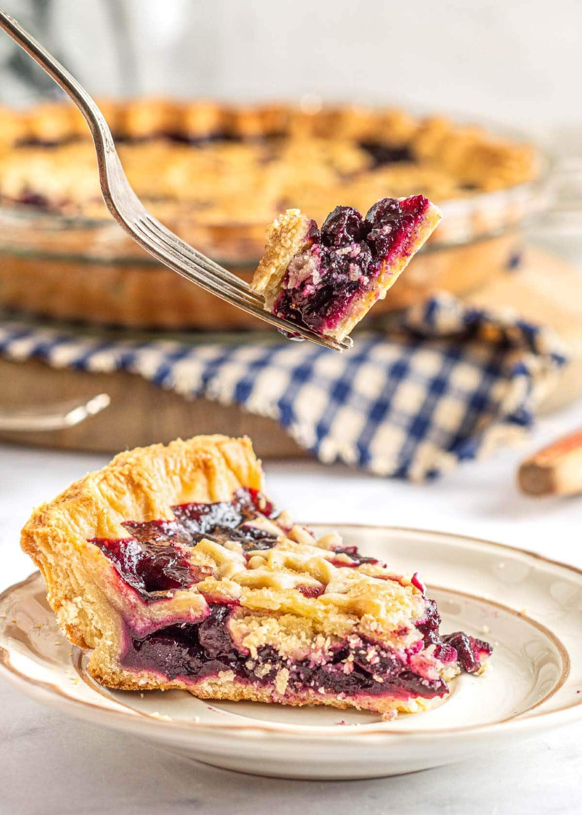 slice of Blueberry Pie and bite on fork.